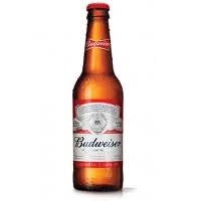 Cerveza Quilmes o Budweiser
